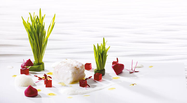 Codfish sous vide with red beetKabeljau Rotebete Wheatgrass Heikoantoniewicz