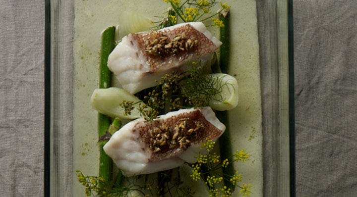 Rotbarsch mit Sous Vide FenchelRotbarsch Fenchel Janphilippberner